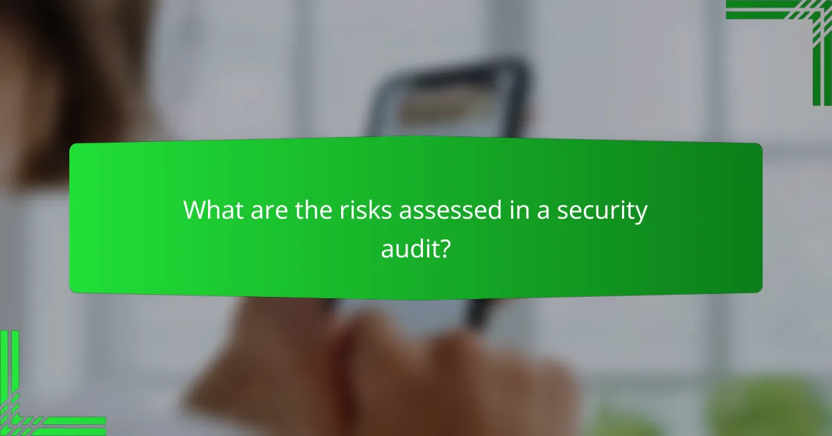What are the risks assessed in a security audit?